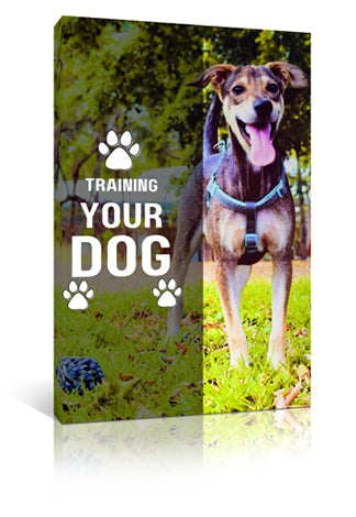Training-Your-Dog